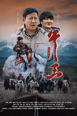 完结高清影视