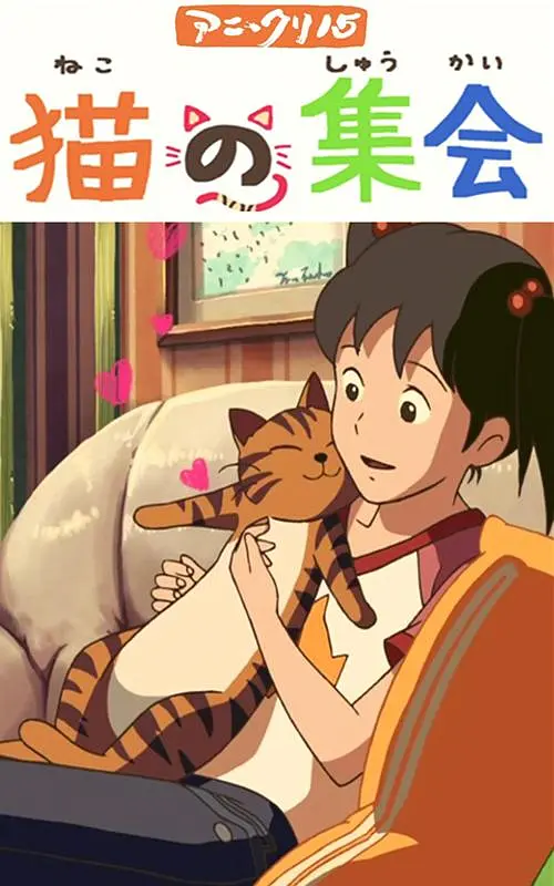 BD国语电影免费在线