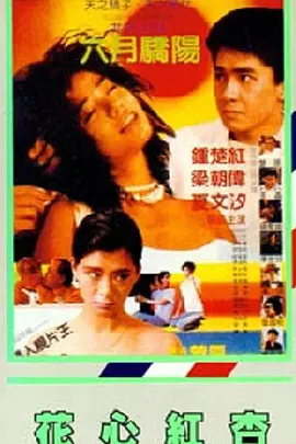 简繁英字幕