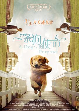 蓝光原盘在线观看