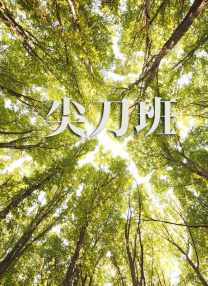 高清蓝光在线观看