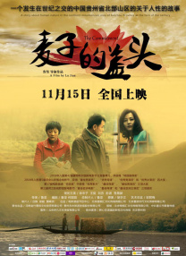 完结高清影视