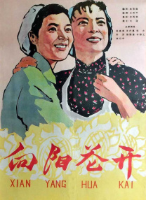 高清蓝光在线观看